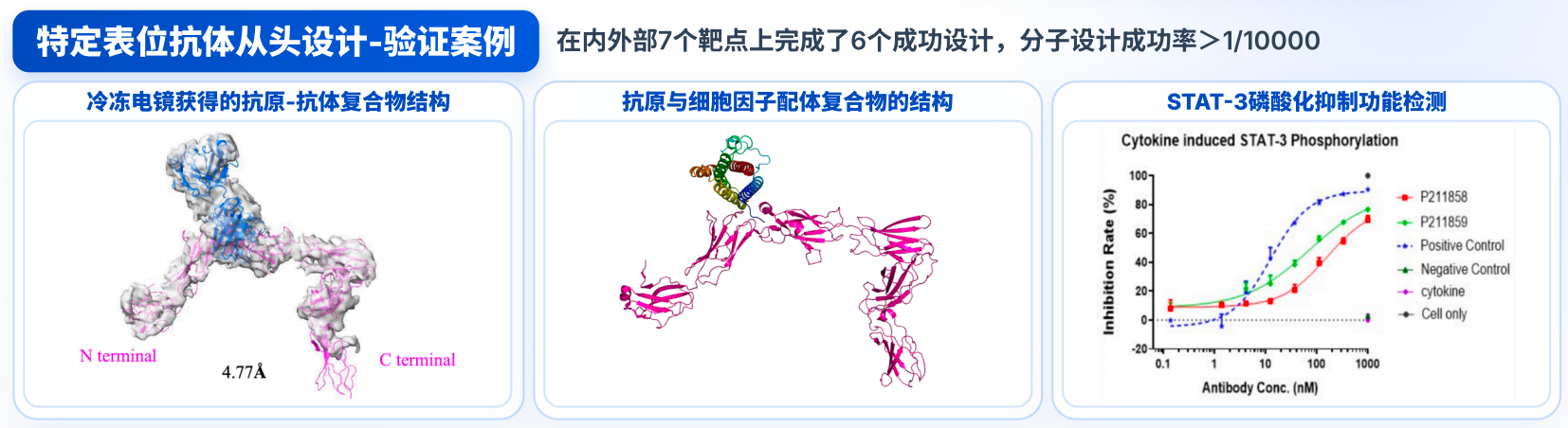 抗体从头设计案例
