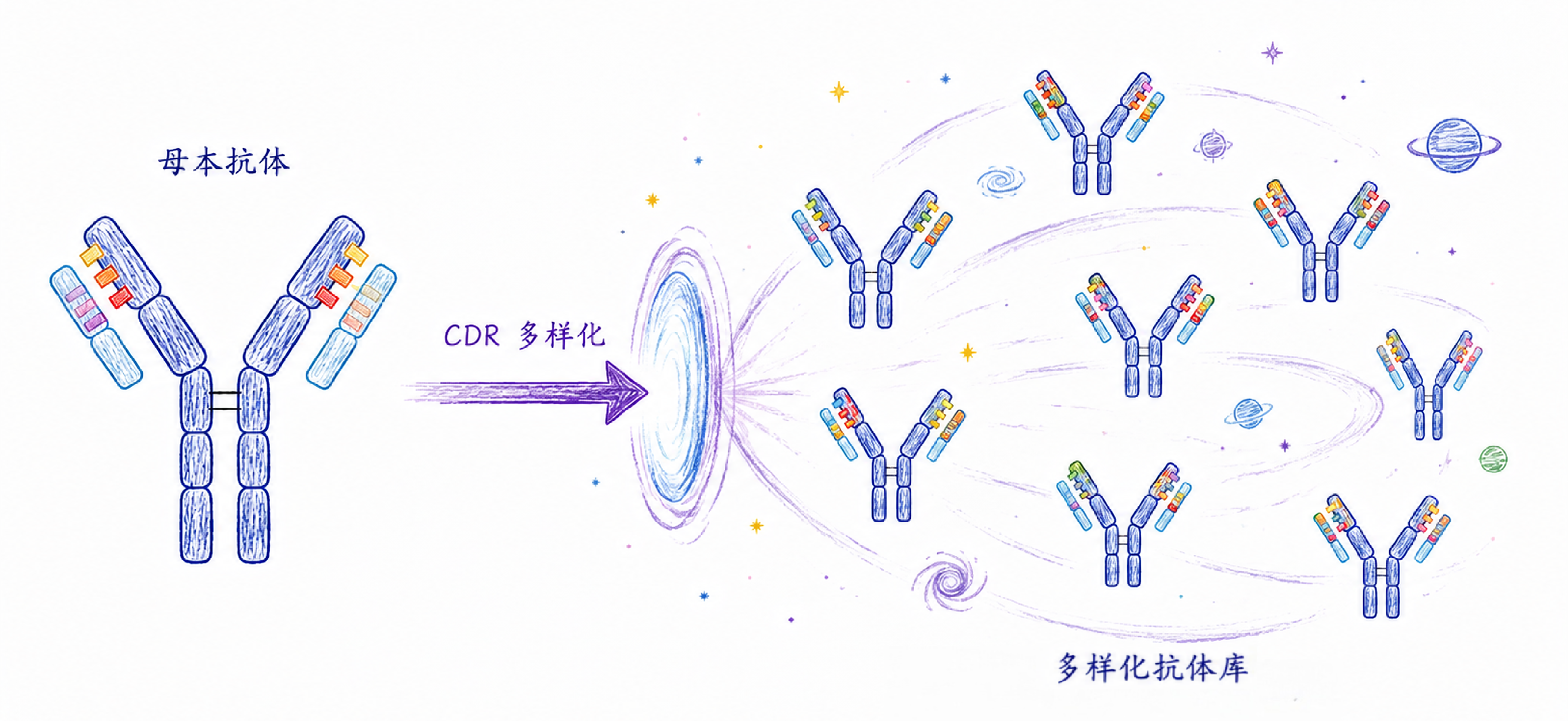 CDR多样性改造功能上线：让优秀抗体，不止一种设计